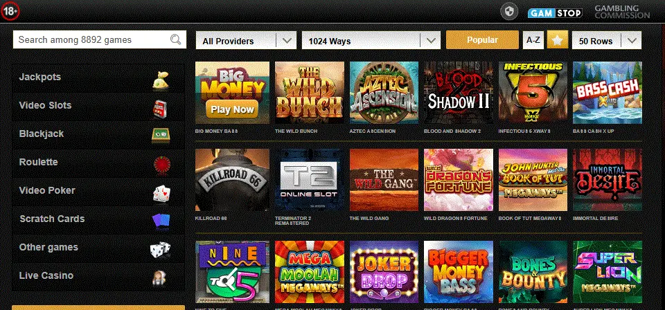 Videoslots casino games